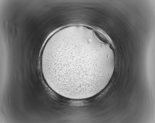 X0000086281004200704262032