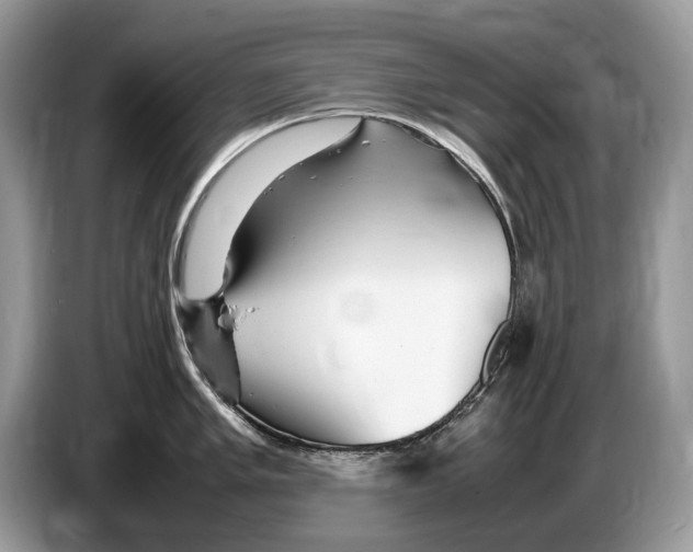 X0000086281005200704262032