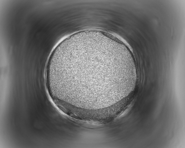 X0000086281007200704262032