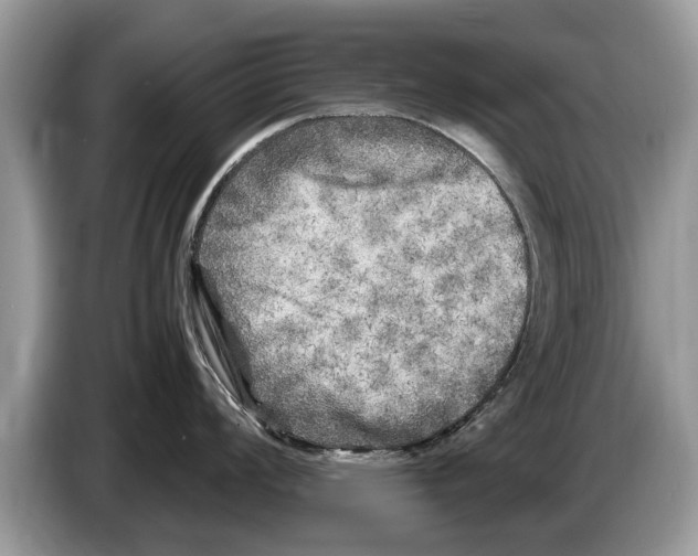 X0000086281008200704262032