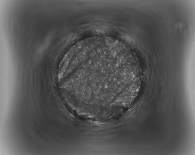 X0000086281009200704262032