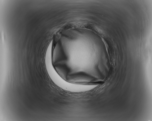 X0000086281010200704262032