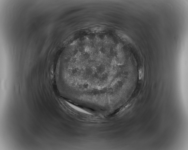 X0000086281011200704262032