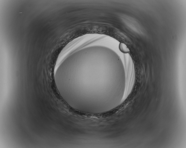 X0000086281013200704262032