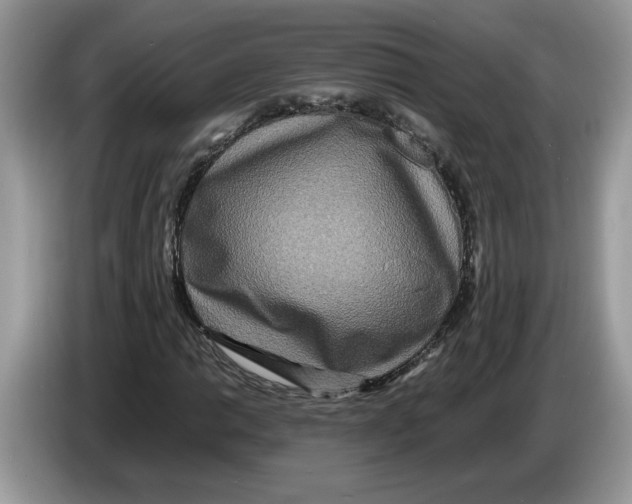 X0000086281014200704262032