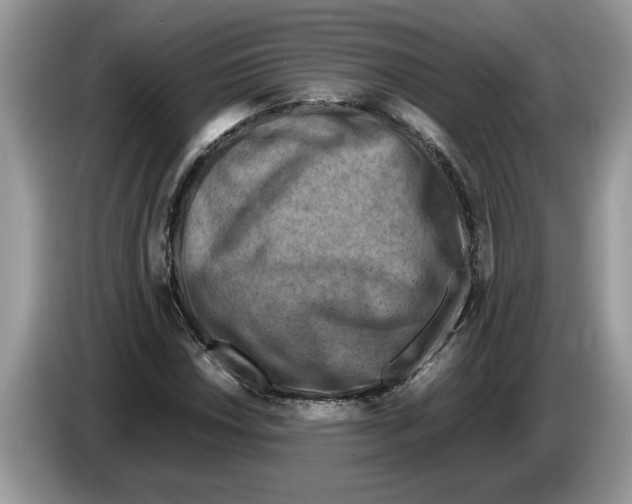 X0000086281018200704262032