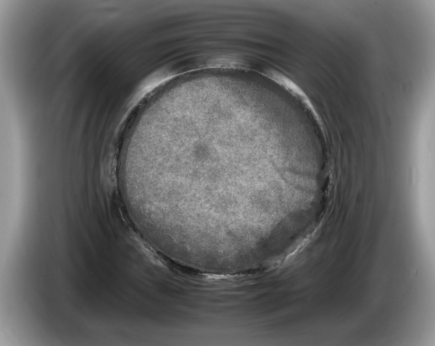 X0000086281019200704262032