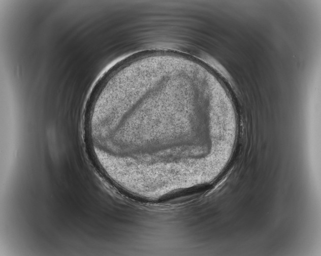X0000086281020200704262032
