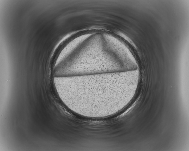 X0000086281021200704262032