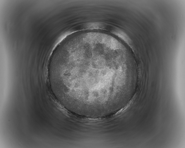 X0000086281023200704262032