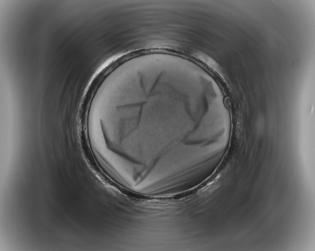 X0000086281024200704262032