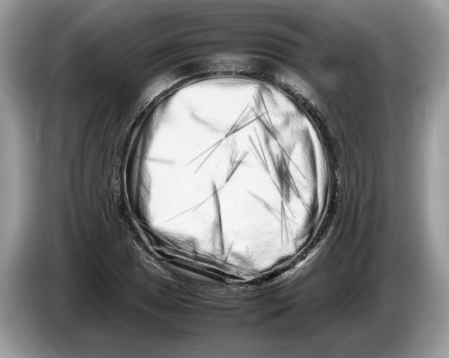 X0000086281025200704262032