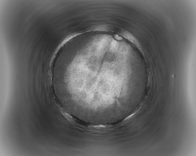 X0000086281027200704262032