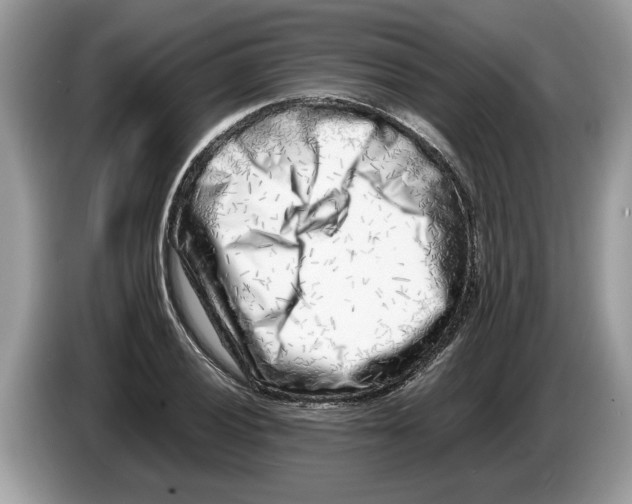 X0000086281028200704262032