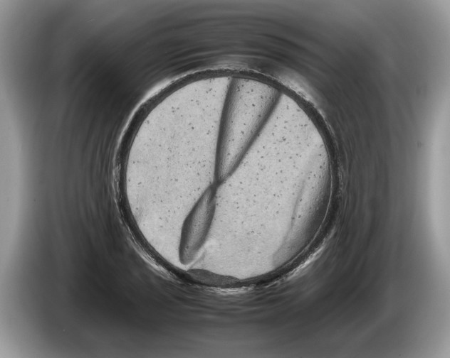 X0000086281029200704262032