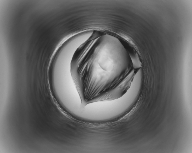 X0000086281030200704262032