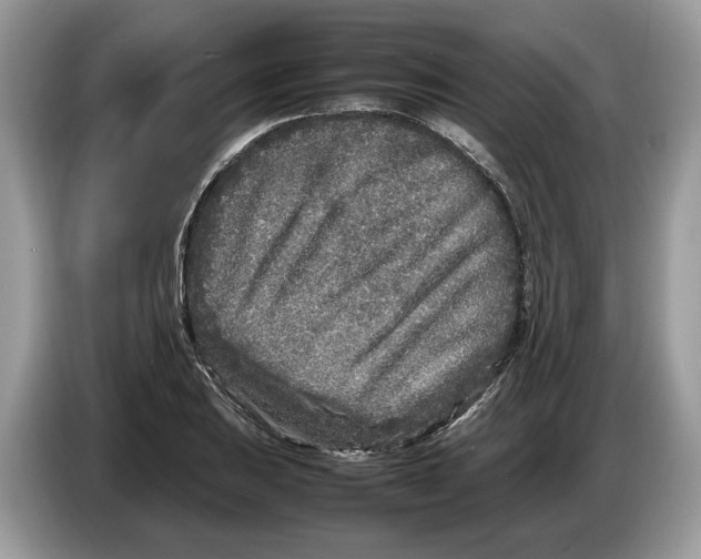 X0000086281031200704262032