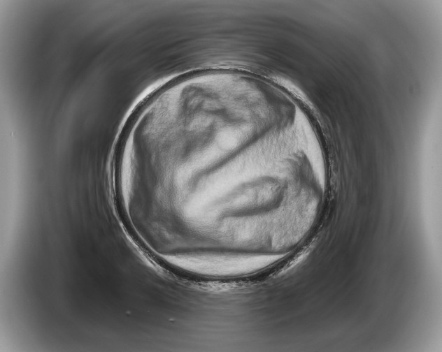 X0000086281032200704262032