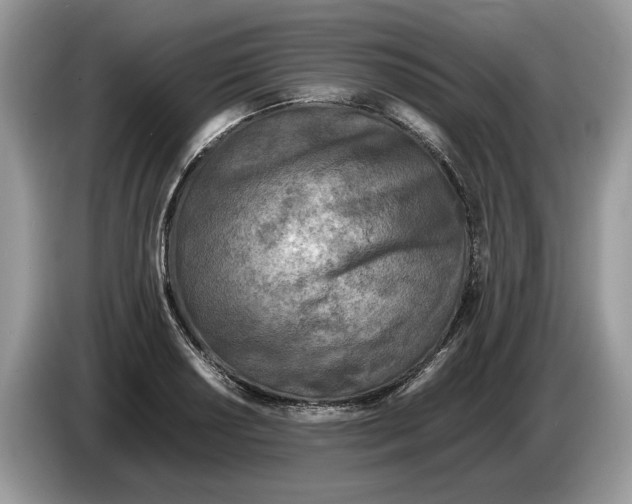 X0000086281034200704262032