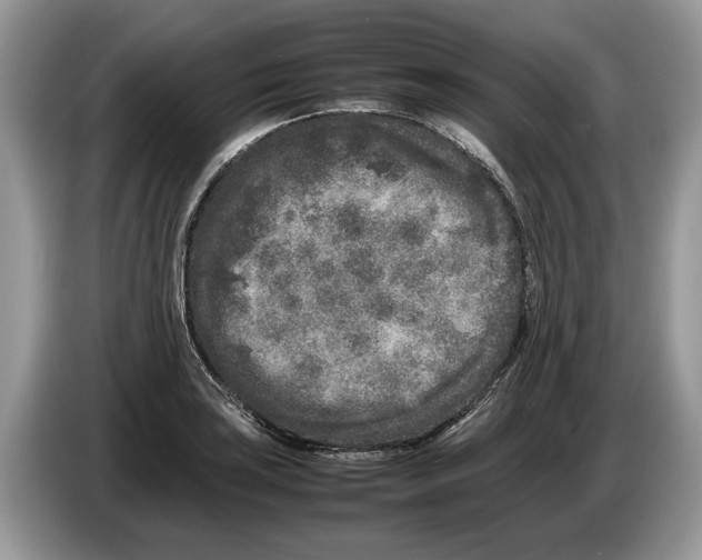 X0000086281035200704262032