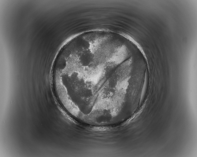 X0000086281037200704262032