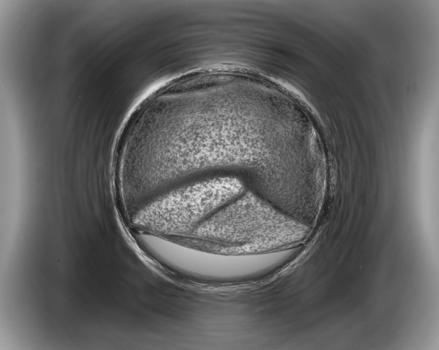 X0000086281038200704262032