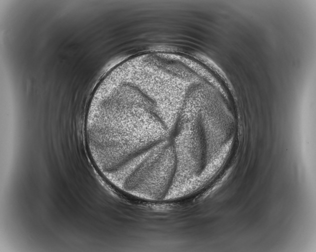 X0000086281041200704262032