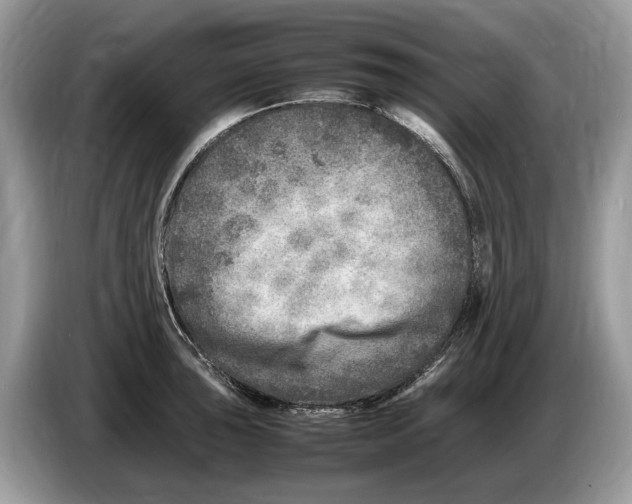 X0000086281043200704262032