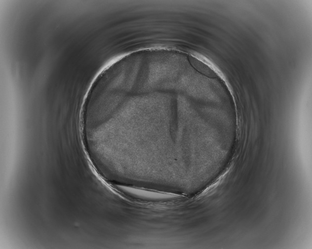 X0000086281045200704262032