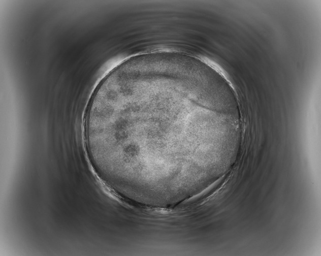 X0000086281047200704262032