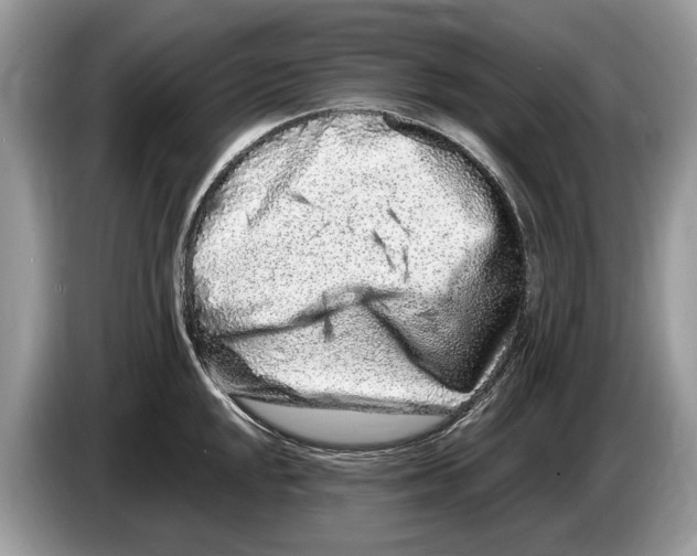 X0000086281048200704262032