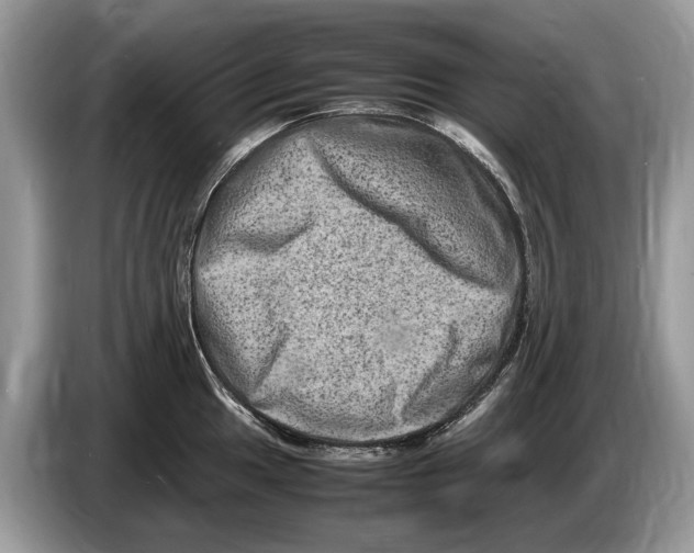 X0000086281049200704262032