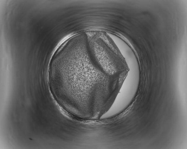X0000086281050200704262032