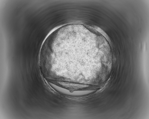 X0000086281052200704262032