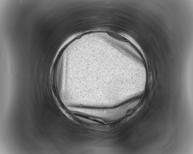 X0000086281053200704262032