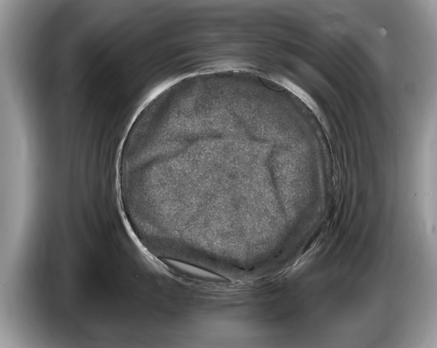 X0000086281055200704262032