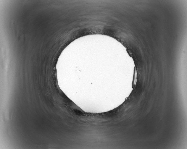 X0000086281057200704262032