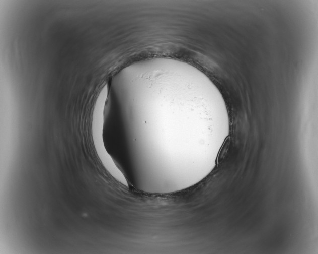 X0000086281058200704262032