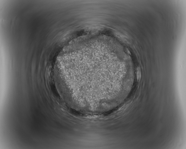 X0000086281059200704262032
