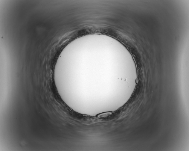 X0000086281061200704262032