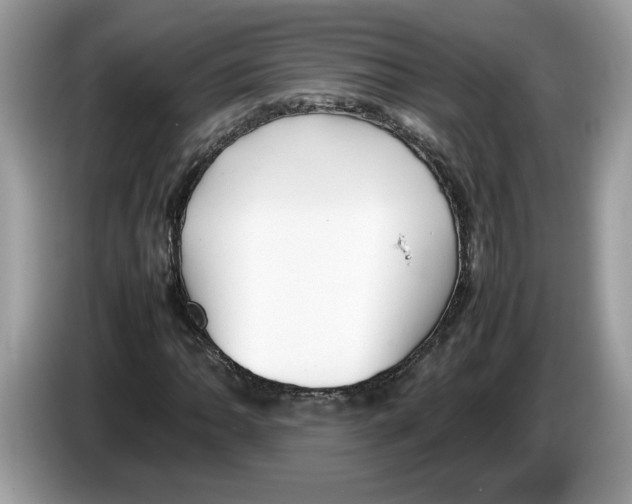 X0000086281062200704262032