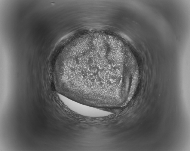 X0000086281063200704262032