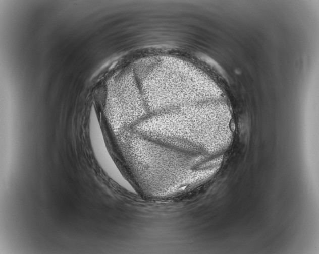 X0000086281064200704262032