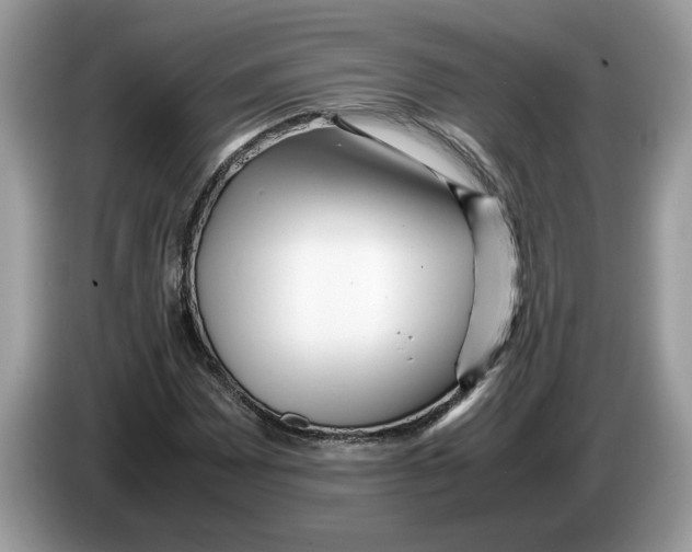X0000086281065200704262032