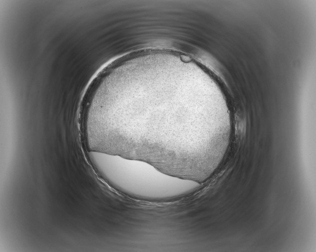 X0000086281068200704262032