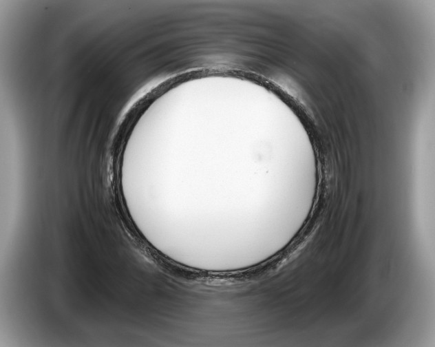 X0000086281070200704262031