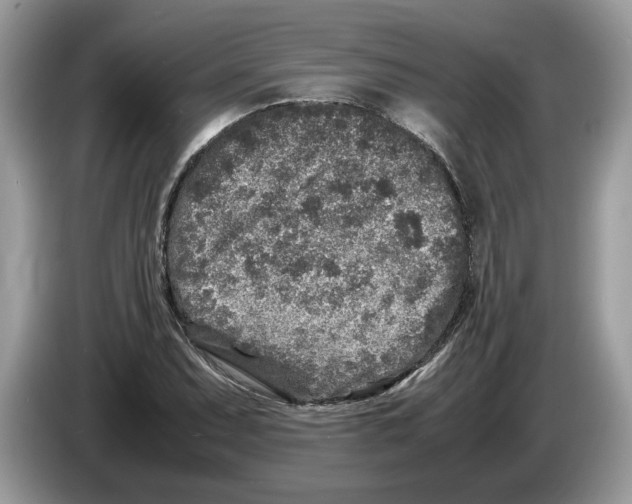 X0000086281071200704262031