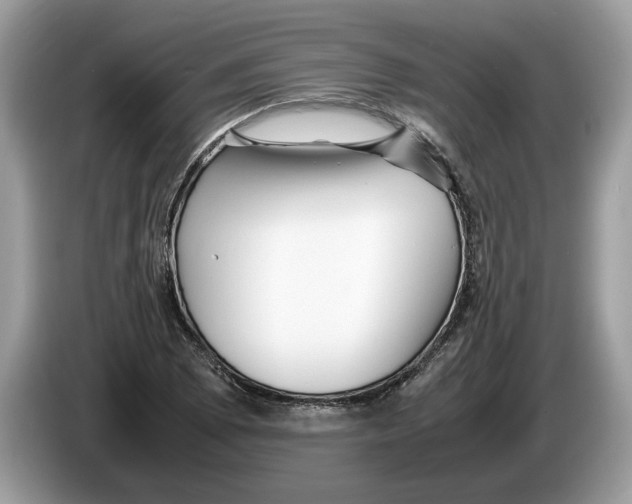 X0000086281073200704262031