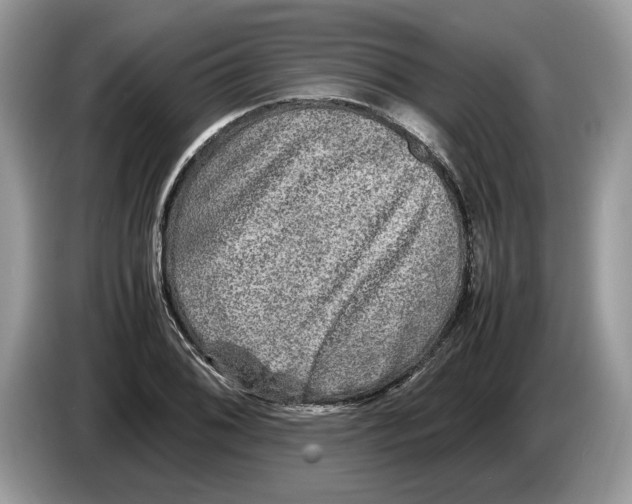 X0000086281076200704262031