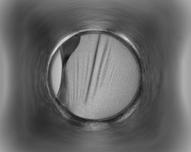 X0000086281077200704262031